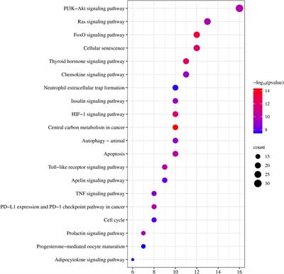 CDK4/6 inhibitors in drug-induced liver injury: a pharmacovigilance study of the FAERS database and analysis of the drug–gene interaction network